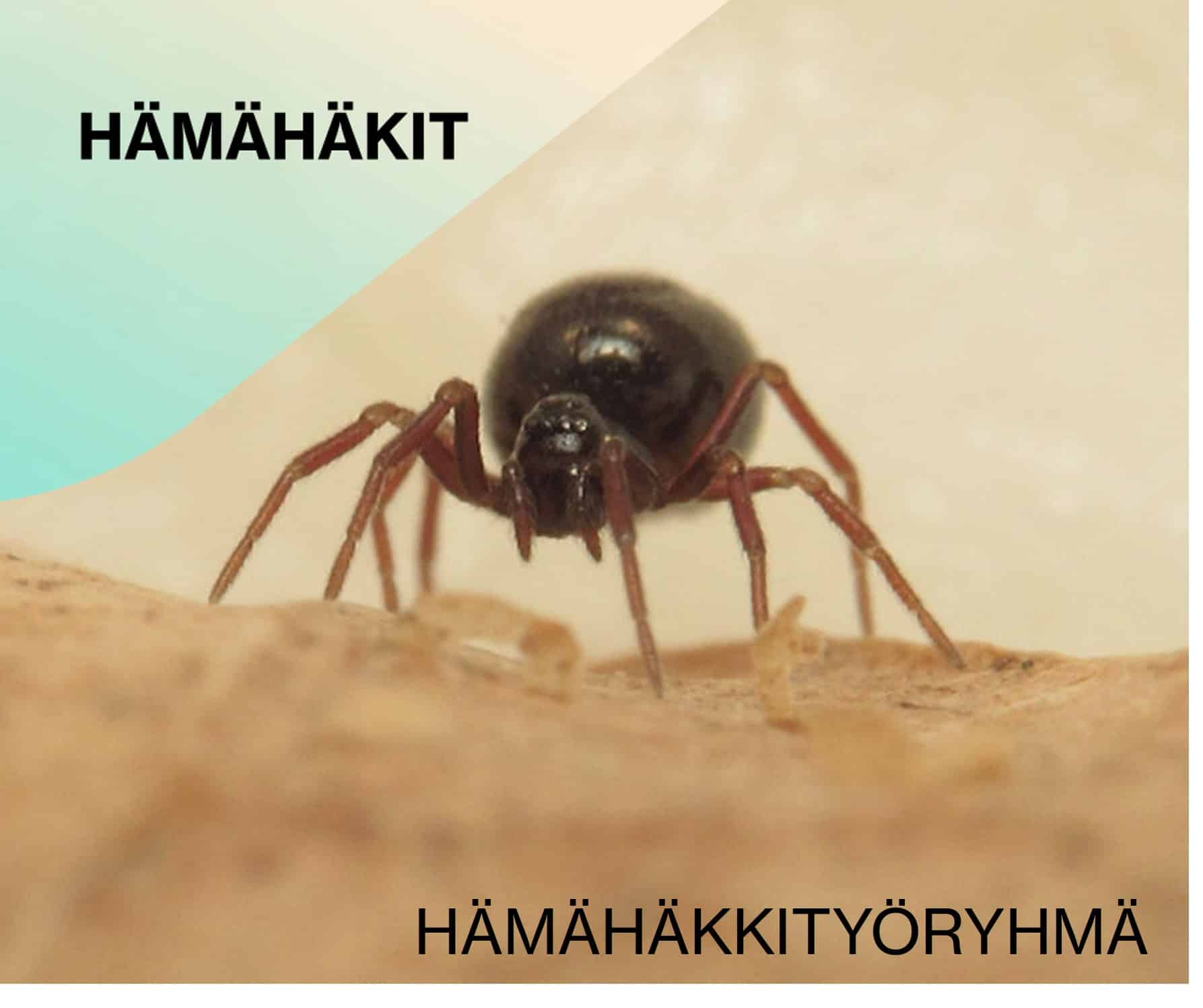 h-m-h-kit-mappa-fi